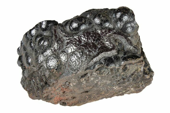 Kidney Ore (Botryoidal Hematite) - Morocco #203980